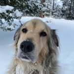 Cade Copeland - @cadecopeland1 - Instagram