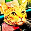 CadeCraft - @hormelchilifan69 - TikTok
