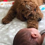 Crawford + Cade - @crawfordandcade - Instagram
