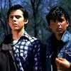 Johnny cade and ponyboy curtis - @wsgxcurtis - TikTok