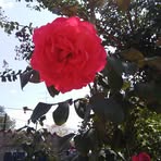 Cade Delgado - Facebook