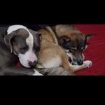 Caden Dickerson - @caden.dickerson - Instagram