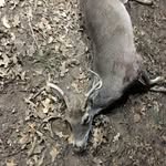 Cade - @cade_drake69 - Instagram