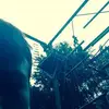 Cade Emerson - @cadeemerson6 - TikTok