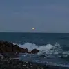 Cadence Erickson - @cadence.erickson7 - TikTok