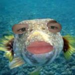 Cade Evans - @cade_evans_24_ - Instagram