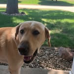 Cade Freeman - @cade6417 - Instagram