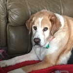 Cade Fuller - @fuller2nd - Instagram