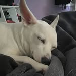 Cade Garrison - @cadegarrison08 - Instagram
