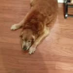 Cade Garrison - @cade_garrison - Instagram