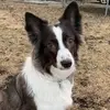 Caden Gibbs - @caden.gibbs - TikTok