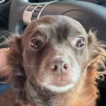 Cade Gibson - @gibson_cade_209 - Instagram