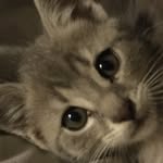 Cade Greene - @cade_greene2019 - Instagram
