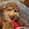 Cade Greer - @cadegreerr - TikTok