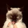 cade_haleyquinton456 - @cade_haleyquinton - TikTok