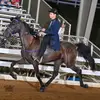 Cade Hall - @cadehall48 - TikTok