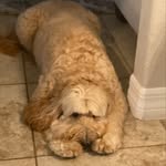 Cade Hanson - @cade_hanson_14 - Instagram