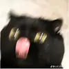 Cade - @cadeasher - TikTok