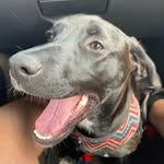 Cade Hewitt - @cadeh_0106 - Instagram