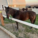 Cade Higgins - @cadehiggins323 - Instagram