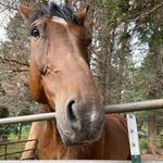 Cade Higgins - @cadehiggins39 - Instagram