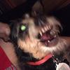 _caden_hines_ - @_caden_hines_ - TikTok