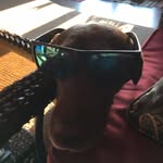 Cade Hoffman - @cadehoffman11 - Instagram