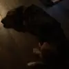 cadehoffman252 - @cadehoffman252 - TikTok