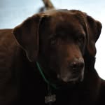 Cade Horn - @mindful_pilot08 - Instagram