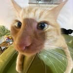Cade Horne - @cadehorne - Instagram