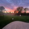 Caden Hornsey - @caden.hornsey - TikTok
