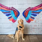 Cade - @cadehuffdoback - Instagram