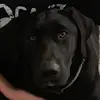 Caden Huffman - @cadenhuffman1 - TikTok