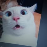 cadehunt2022 - @cadehunt2022 - Instagram