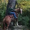 cadejack02 - @cadejackson20 - TikTok