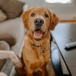 Cade Keller - @cade.keller - Instagram