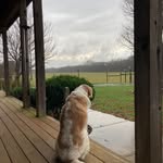 Cade Kennedy - @cadekennedy86 - Instagram