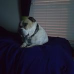 Cade Klein - Facebook