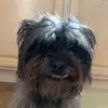 Cade - @cade.lambert - TikTok