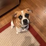 Cade Lawson - Facebook