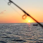 Cade lewis - @cade_lewis15 - Instagram