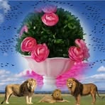 Oska Cade Love Hu - Facebook