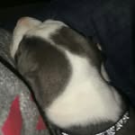 Caden - @cademann.fr.spammm - Instagram