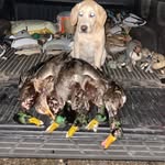 @cade.marshall30 - Instagram