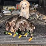 @cade.marshall30 - Instagram