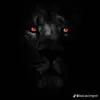 Wll Martinez Cade - @wll.martinez.cade - TikTok