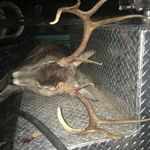 Caden Mathis - @caden_mathis - Instagram