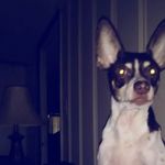 Cade McGee - @mcgeecade - Instagram