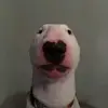 cade mckay - @goat.cade2 - TikTok