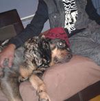 Cade McLean - Facebook